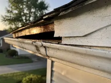 Gap in home roofline where wildlife can enter